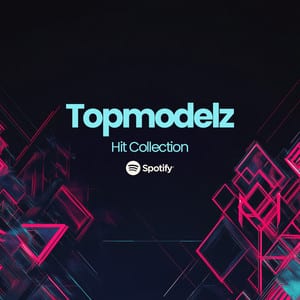Cover der Playlist Hit Collection